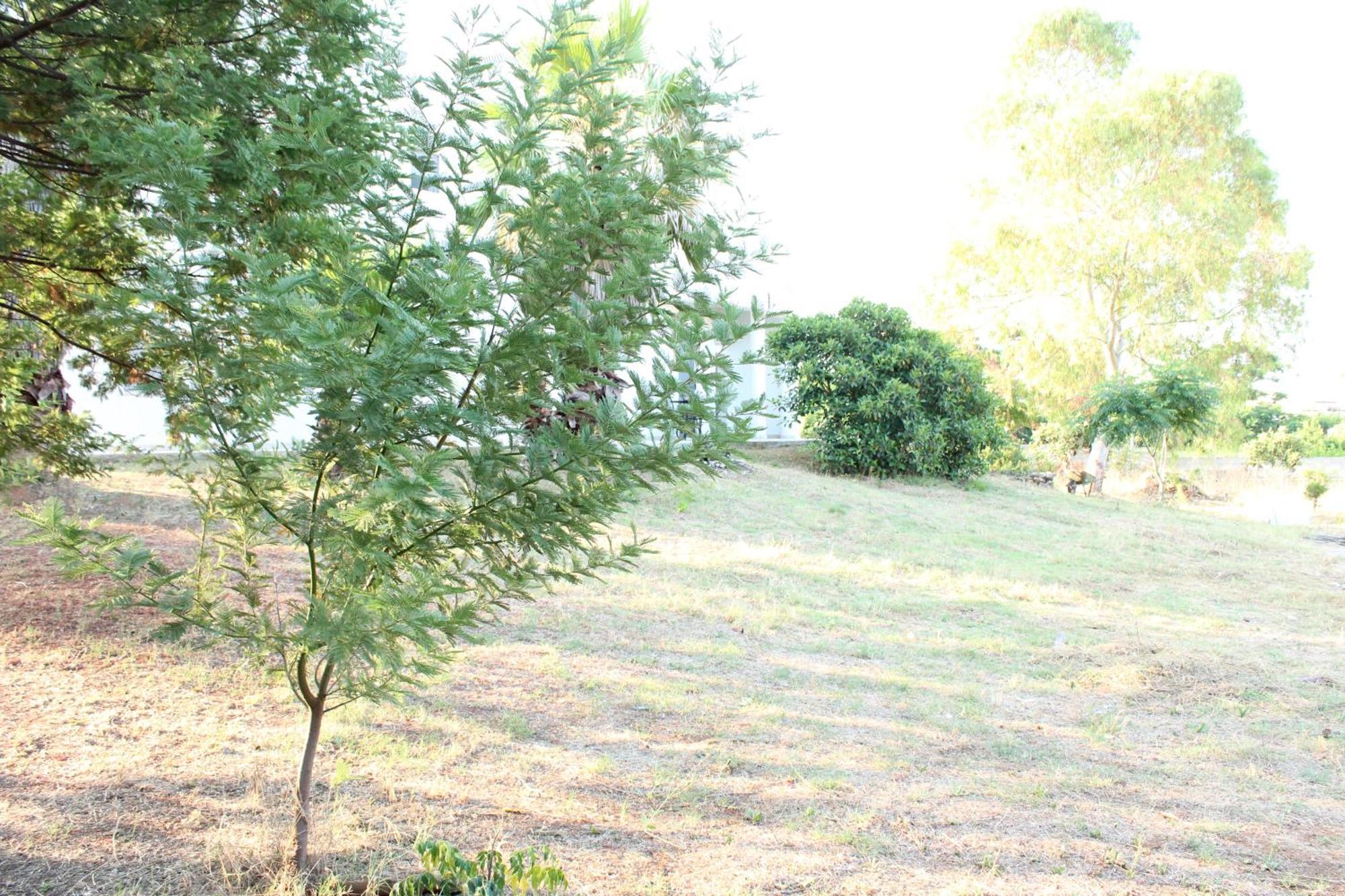 Ferienwohnung Boat Dreams , Garden Relax Matino Exterior foto