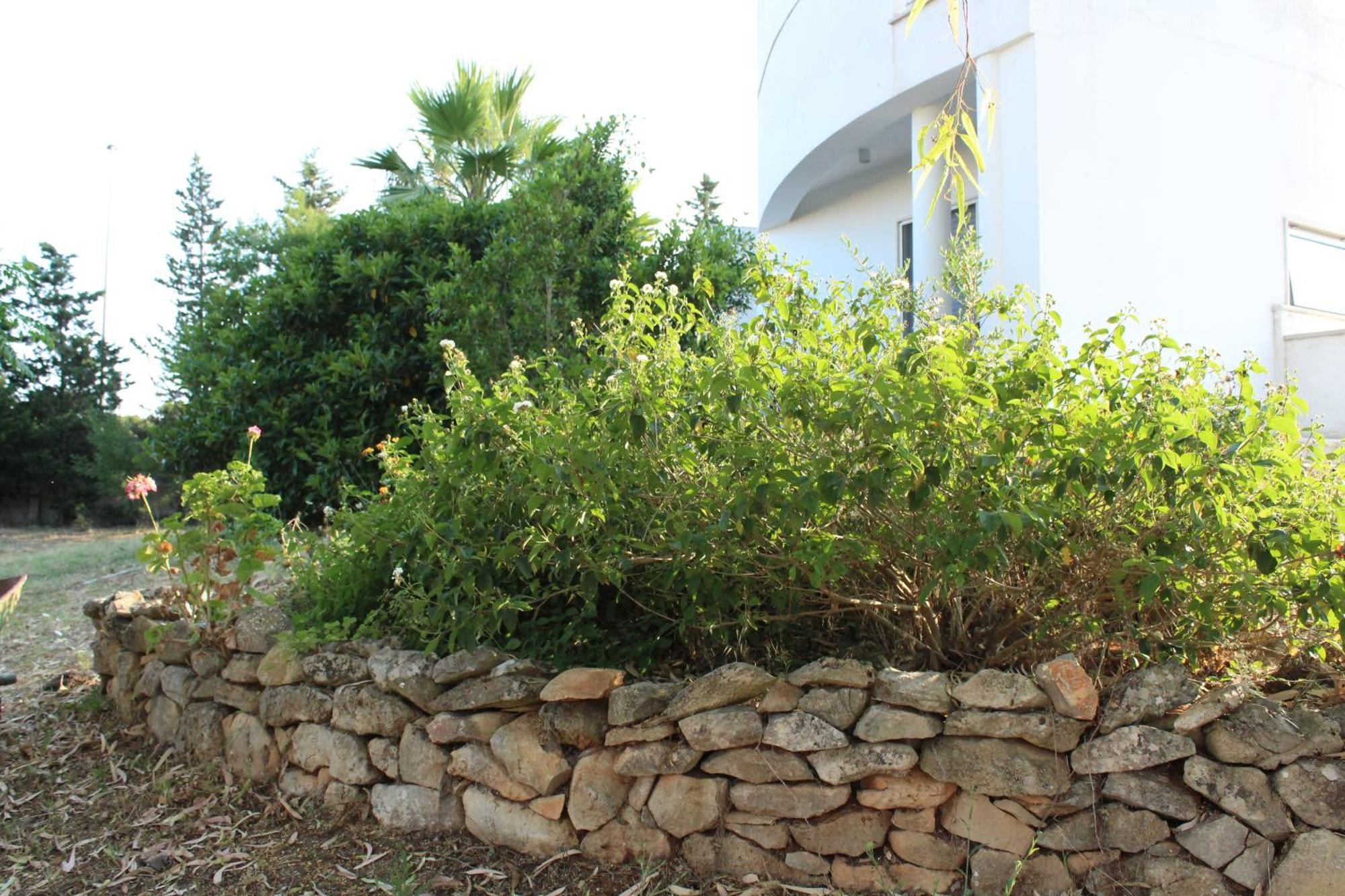 Ferienwohnung Boat Dreams , Garden Relax Matino Exterior foto